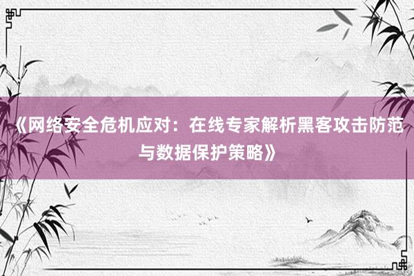 《网络安全危机应对：在线专家解析黑客攻击防范与数据保护策略》